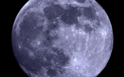 The wolves and the moon