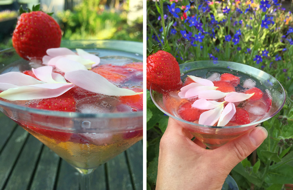 Edible flower rose infused gin