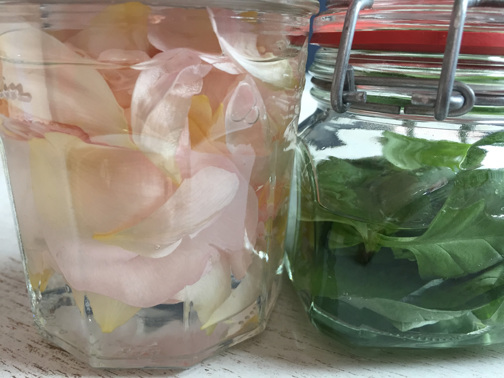 Edible rose flower petals and basil leaves infused in gin
