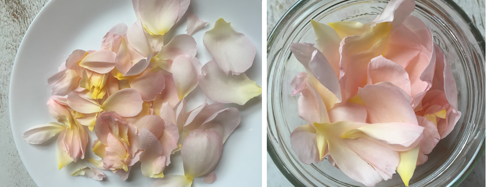 Edible rose petals for rose gin