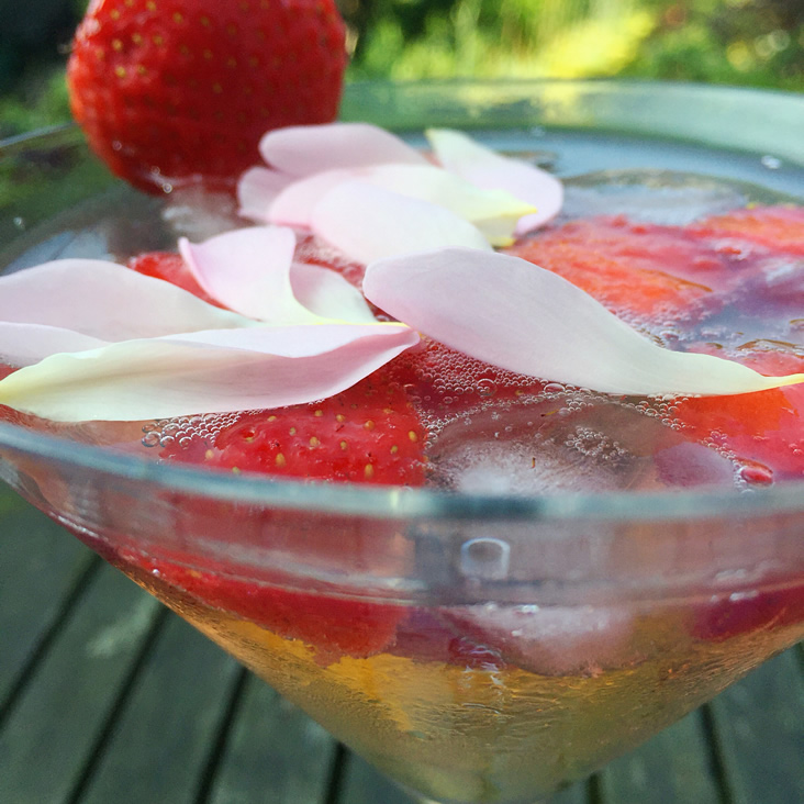 Edible flower rose infused gin