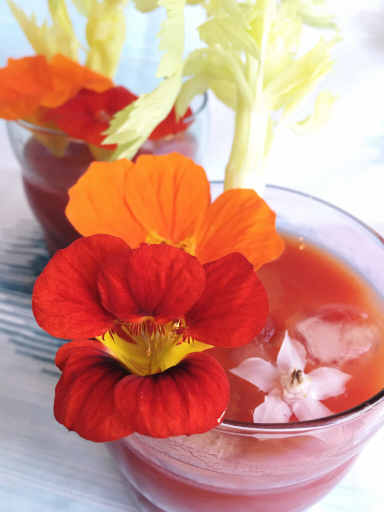 Edible flower nasturtium in a bloody mary cocktail