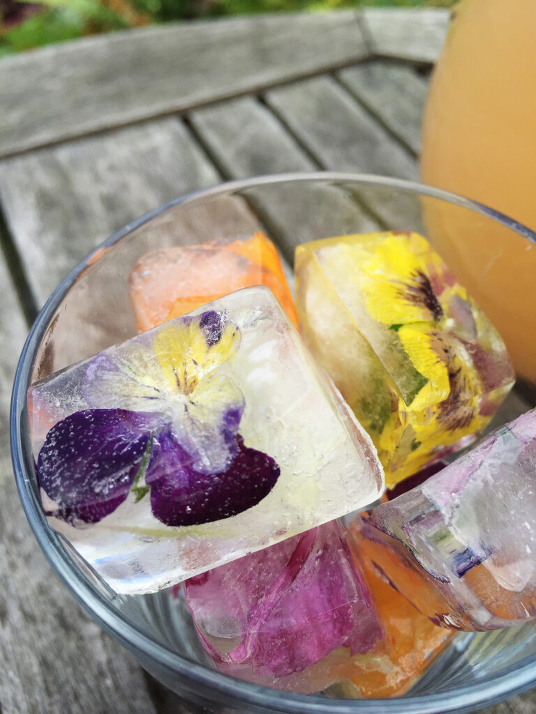 Edible flower ice for summer drinks