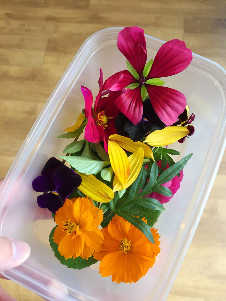 Selection of flowers used for flower pounded top