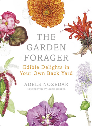 The Garden Forager by Adele Nozedar