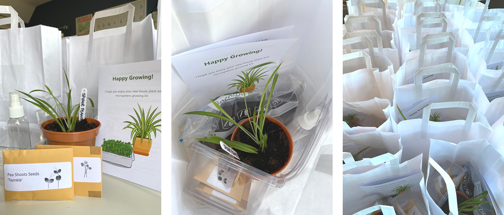 Growing kits including a house plant, seeds, trays, instructions and white paper bags