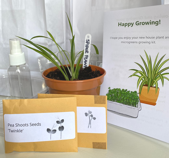 Growing kits including a house plant, seeds,container and instructions