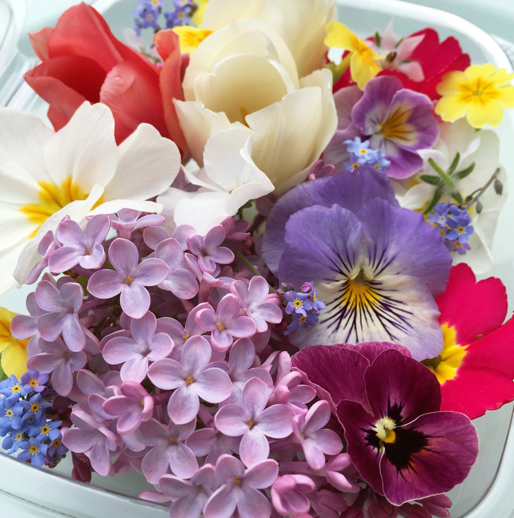 Mixed punnet of spring edible flowers