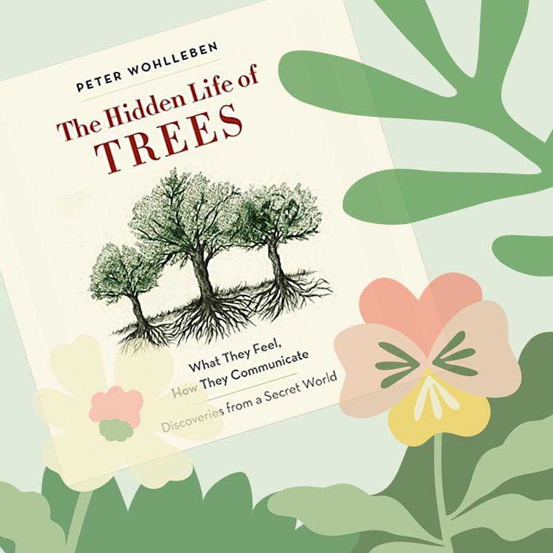 The Hidden Life of Trees book cover