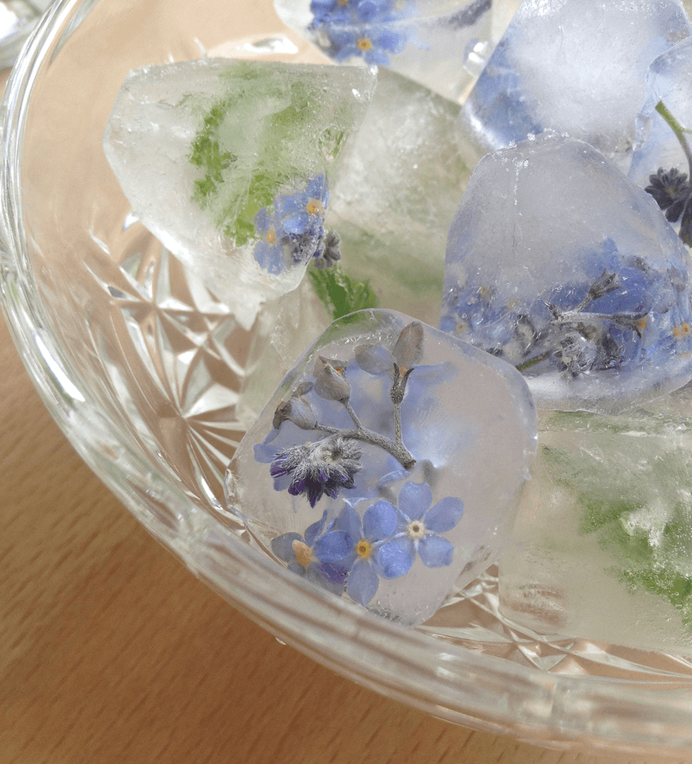 Edible flower ice