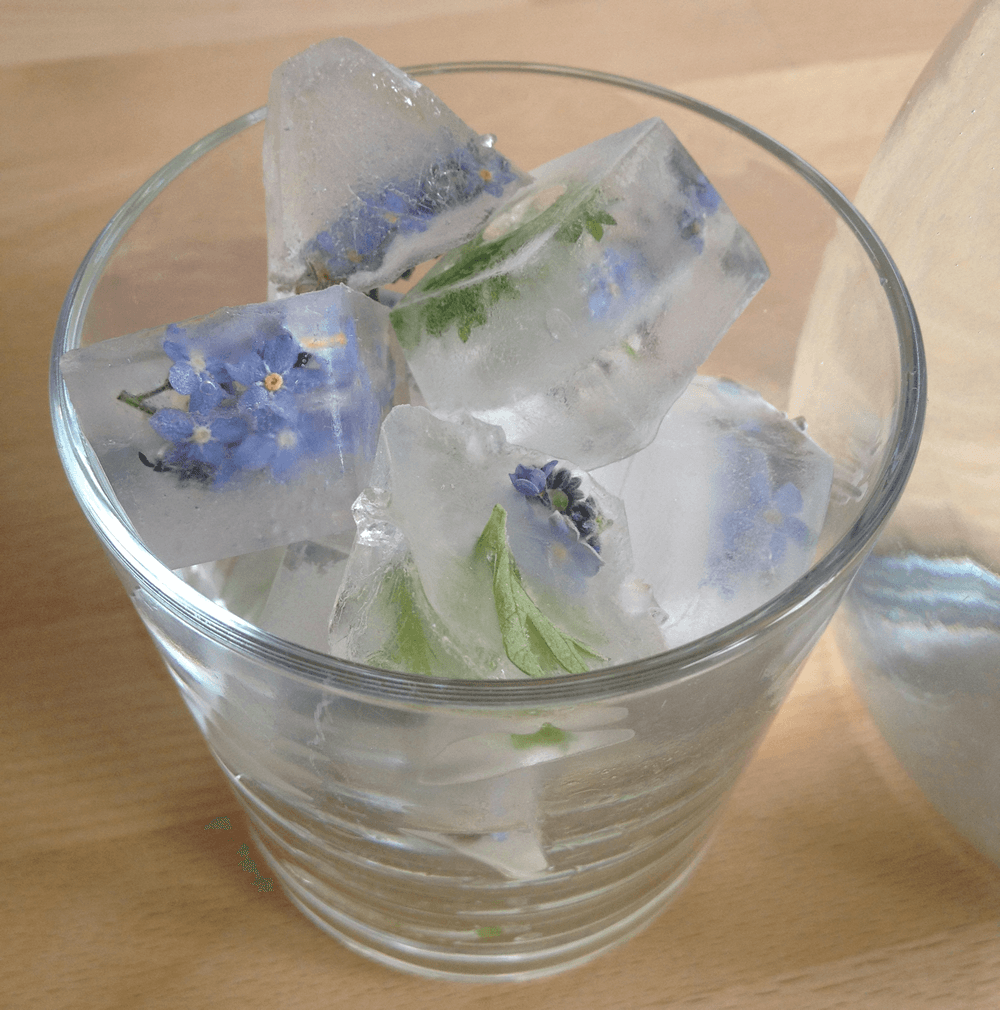 Edible flower ice in drinks