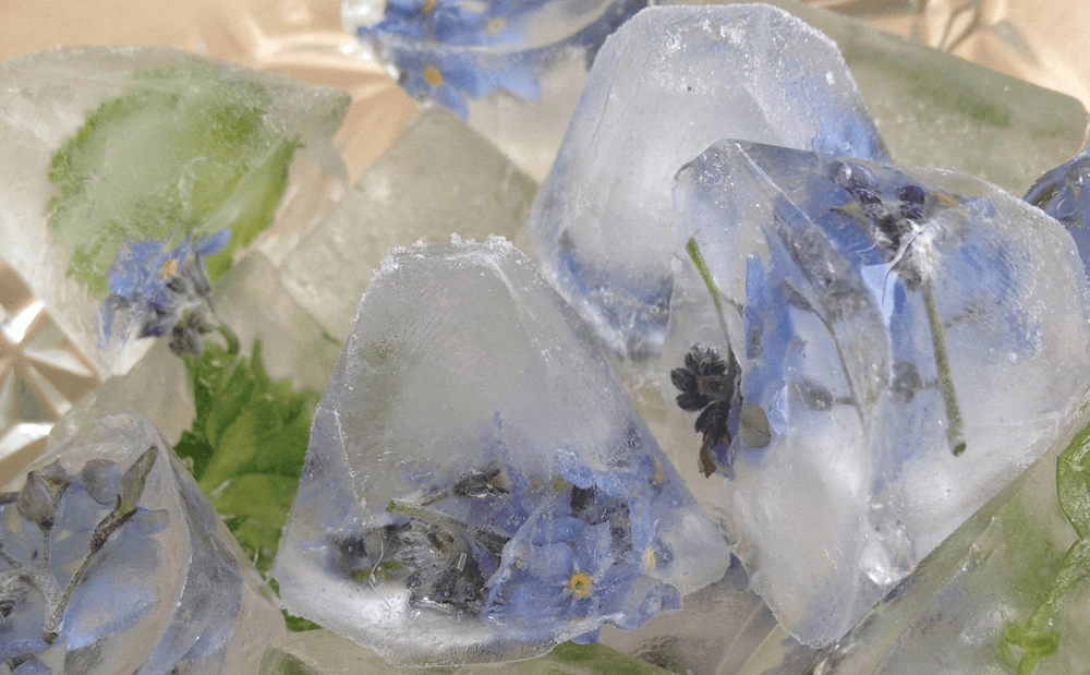 Ice cubes with edible flowers forget-me-nots