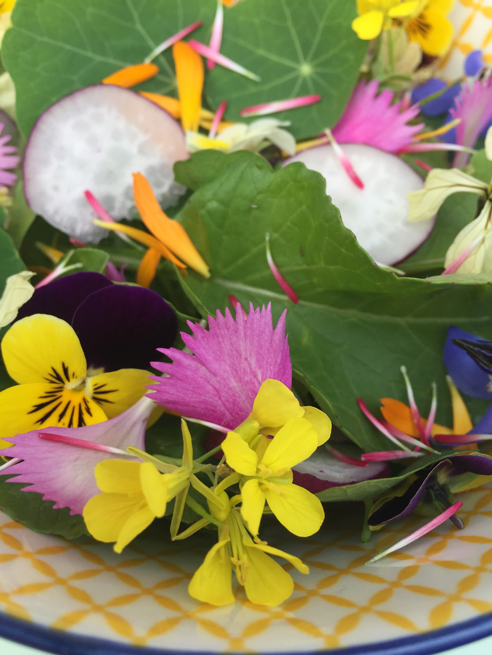 Edible flowers in a salad