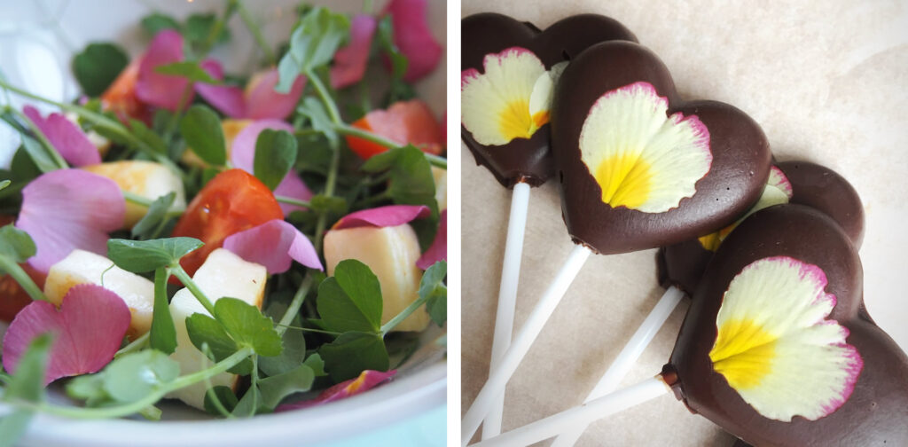 Salad with primrose petals and lollipops with primrose petals