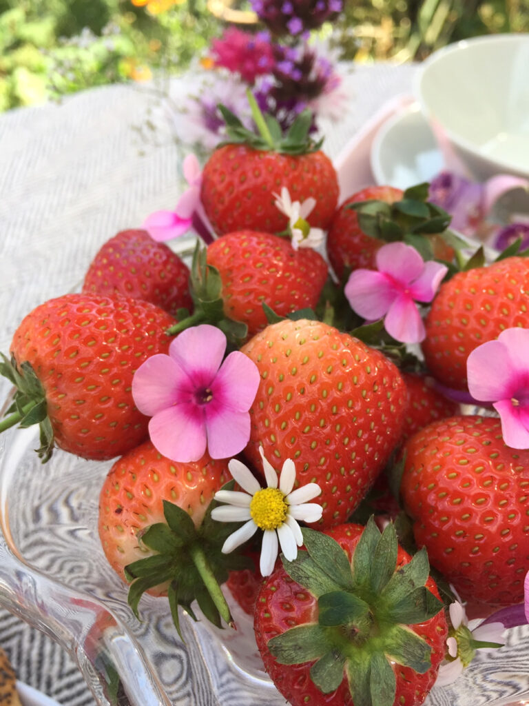 Strawberries with edible flowers phlox and chamomile
