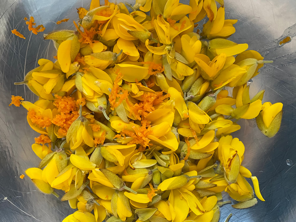 Gorse flowers and orange zest