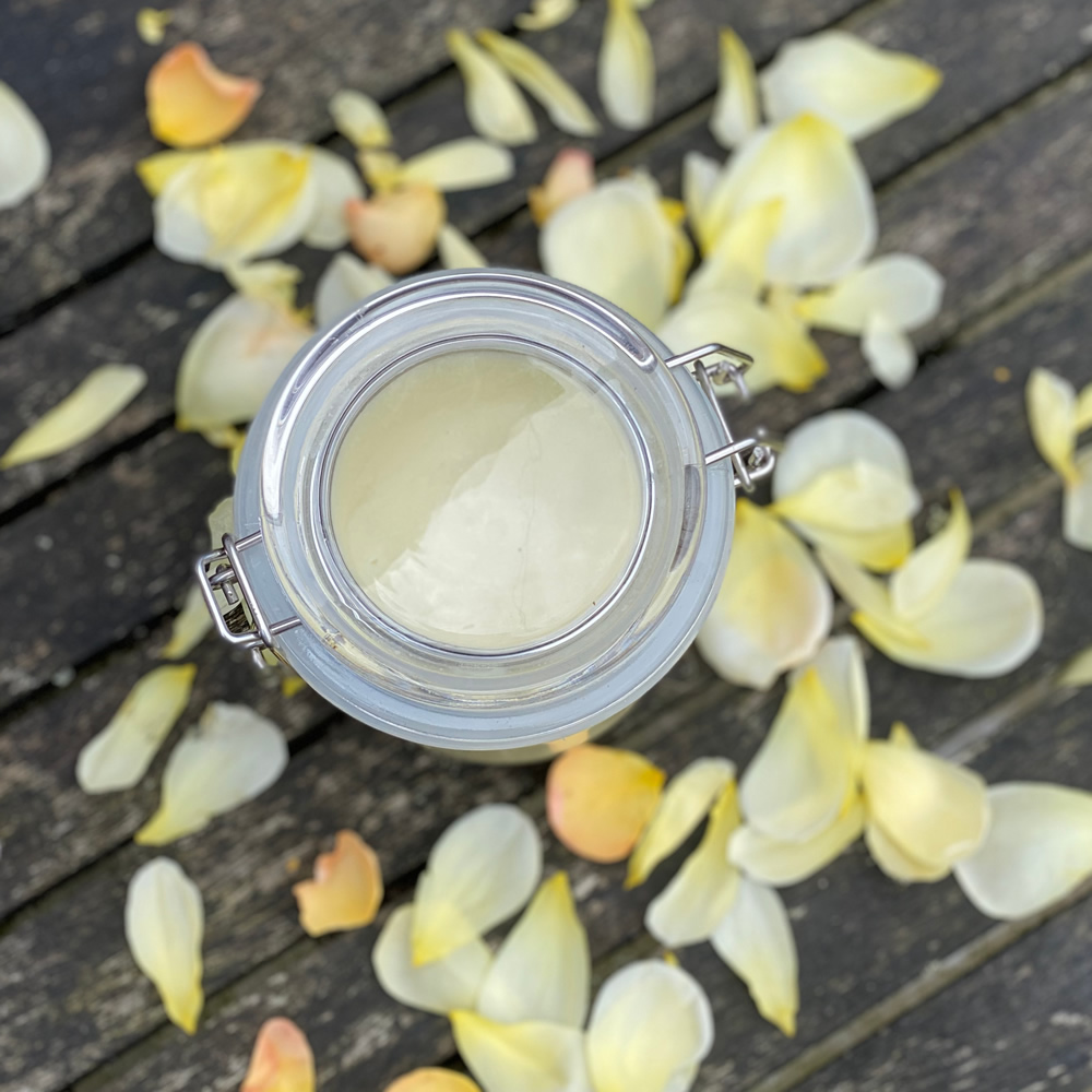 A jar of hand salve surrounded by rose petals from above