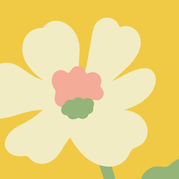 GCJ-cosmos An illustrated white aquilegia flower on a green background