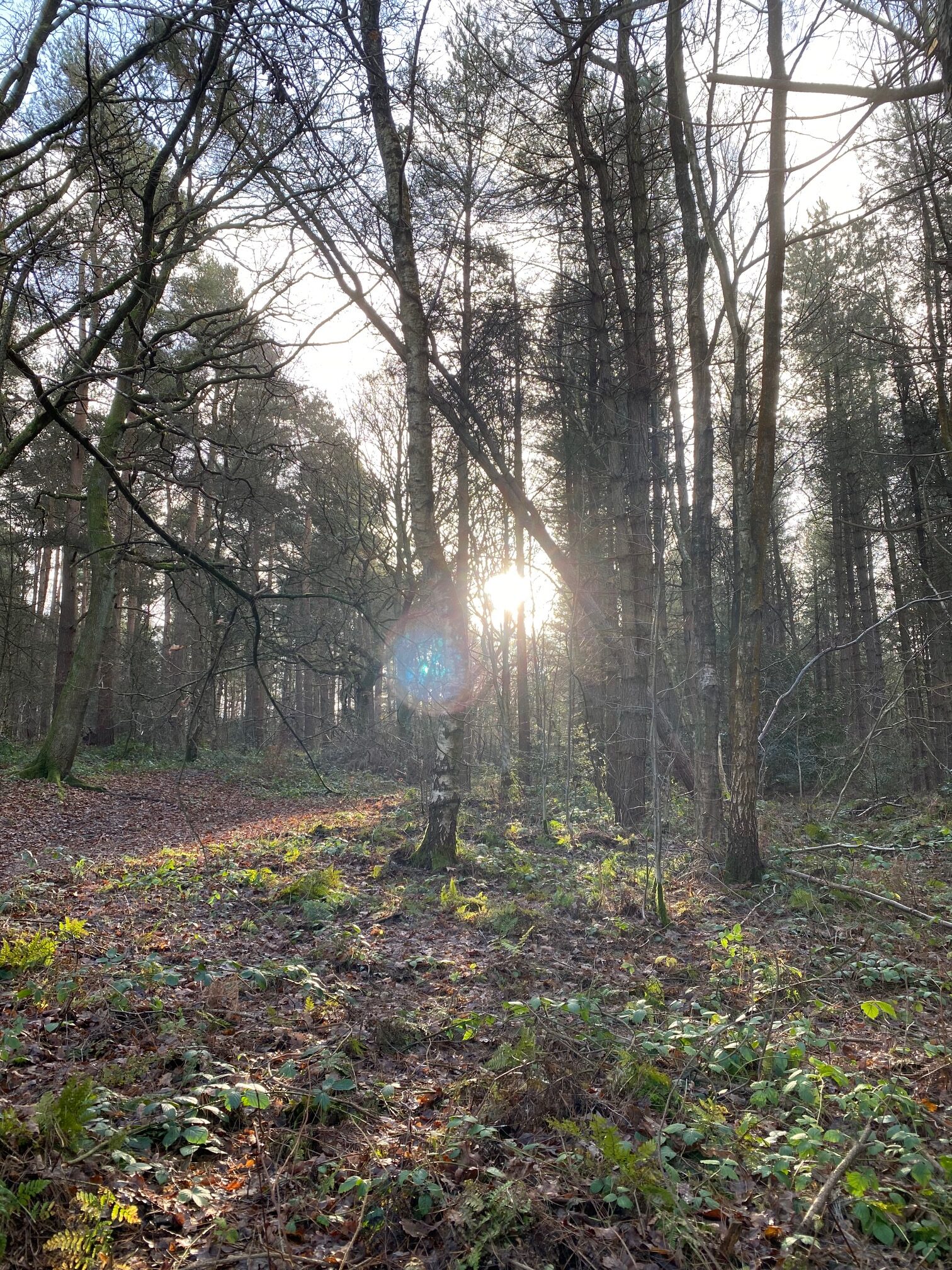Winter solstice
