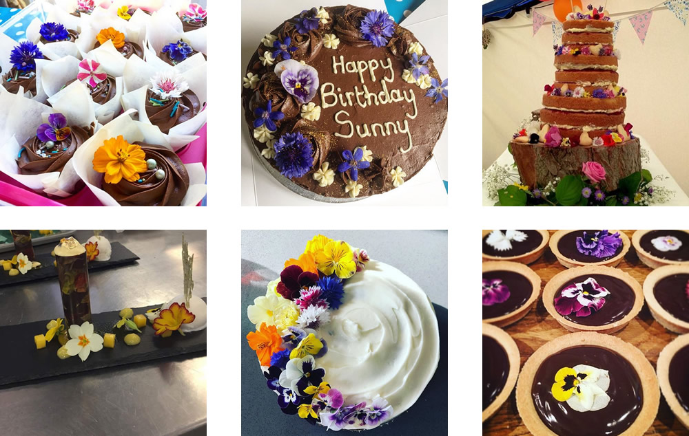 Edible flowers used by The Flower Deli customers
