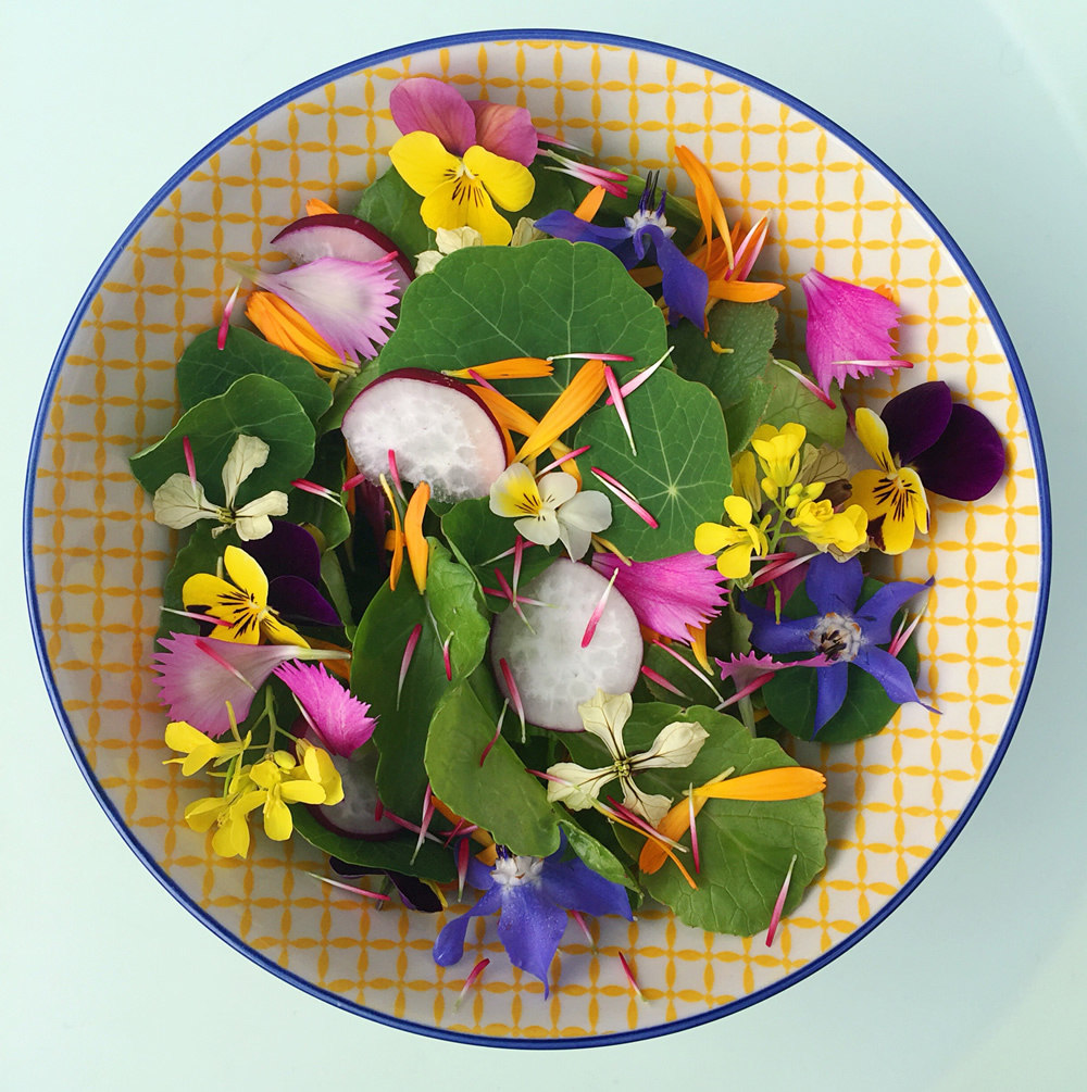 Fresh edible flowers salad